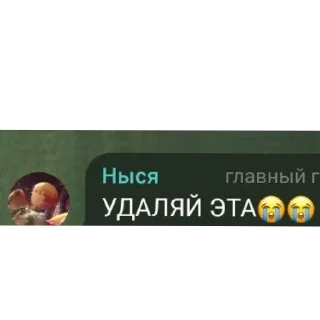 Стикер ася нася сеня смешни сообщения - 11