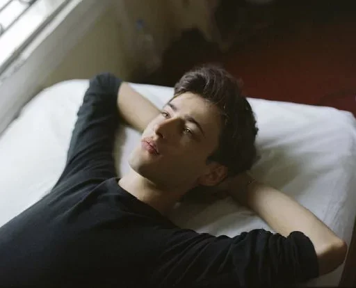 Человек человеческое лицо комнатный