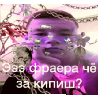 Стикер каки - 1