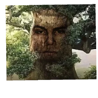 Стикер каки - 6