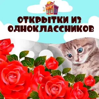 Стикер Открытки из одноклассников @stickernayaa - 8
