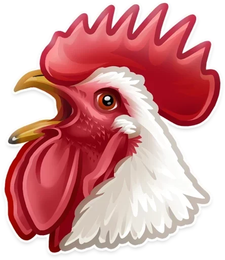 poultry comb feather