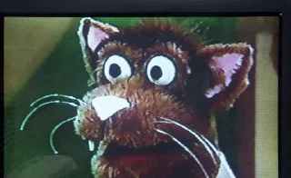 Sticker Kevin @scouserinnorth - 11