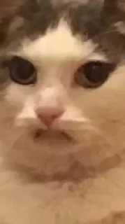 Стикер @sexstikkers - 9