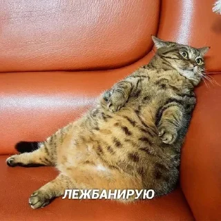 Стикер @sexstikkers - 7