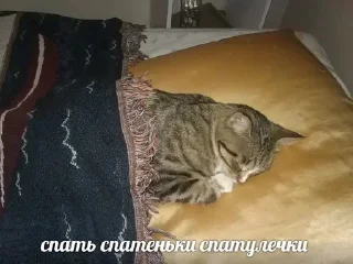 Стикер @sexstikkers - 6