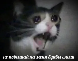 Стикер @sexstikkers - 3