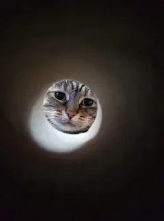 Стикер @sexstikkers - 5