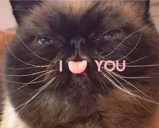 Стикер @sexstikkers - 2