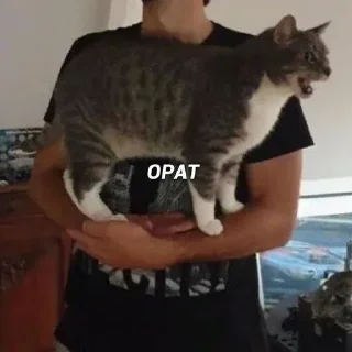 Стикер @sexstikkers - 8