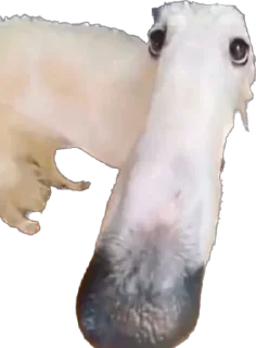 Стикер Больше стиков тут: @stikery4 - 9