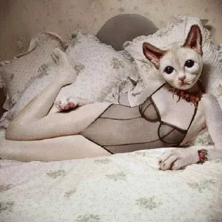 Стикер Больше стиков тут: @stikery4 - 0