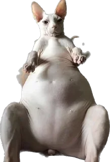 Стикер Больше стиков тут: @stikery4 - 1