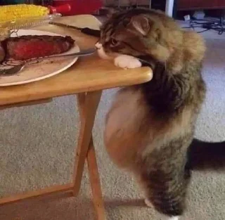 Стикер Больше стиков тут: @stikery4 - 2