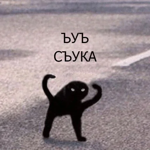 кошка СМС мультфильм