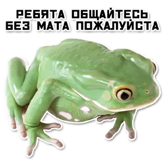 Стикер ордер жаберс - 10