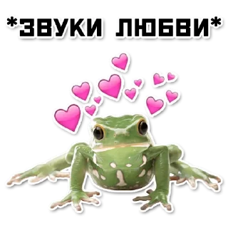 Стикер ордер жаберс - 8