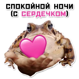 Стикер ордер жаберс - 2