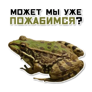 Стикер ордер жаберс - 3