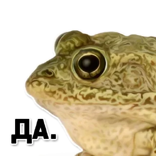 Стикер ордер жаберс - 1