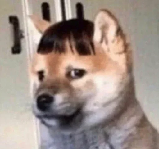 Стикер ohnasty - 1