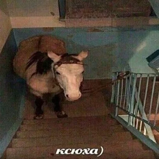 Стикер 😍👊🏻47😔84😔383 by @fStikBot - 11