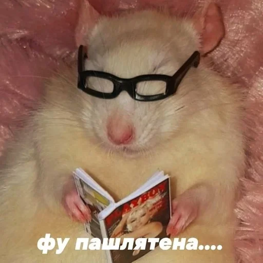 Стикер 😍👊🏻47😔84😔383 by @fStikBot - 6