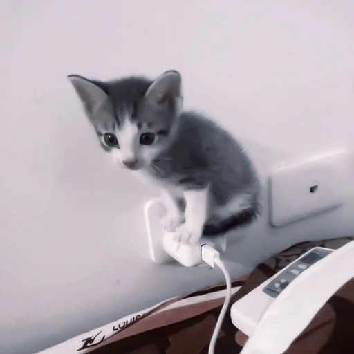 Стикер ʙиɯᴋᴀᴛᴀну ᴏᴛ @oiiays. - 9