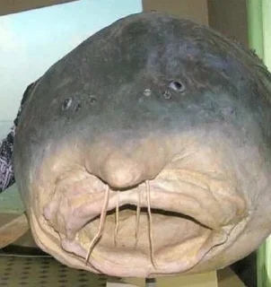 Sticker ojcze nasz @durkakwasa - 2