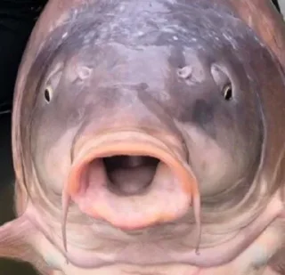 Sticker ojcze nasz @durkakwasa - 8