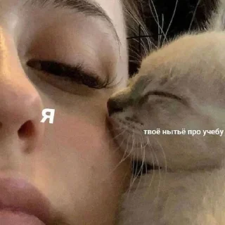 Sticker @ne_mediki <- нажми - 7