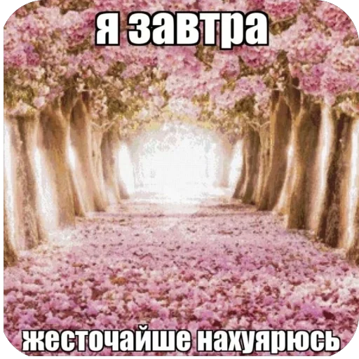 для важных переговоров - 