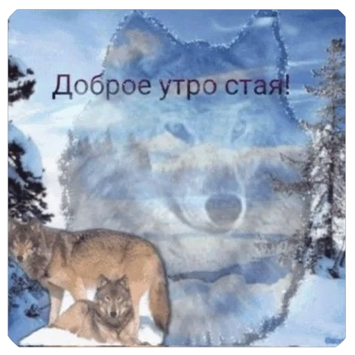 Стикер okej710 - 1