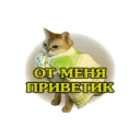 Sticker метрополь - 2