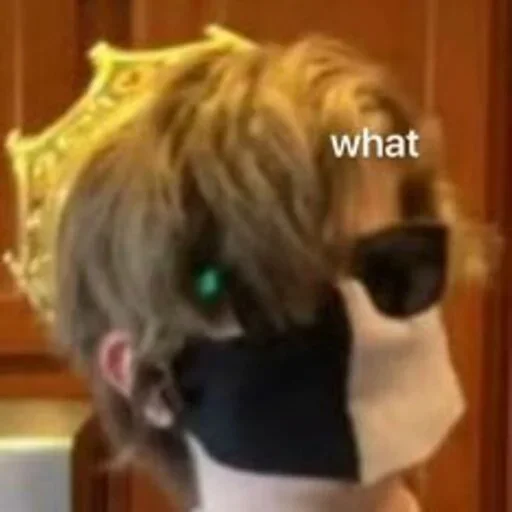 Стикер Ranboo's Favorites (@CalsiBot) - 11