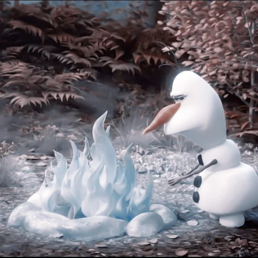 aquatic bird animal bird