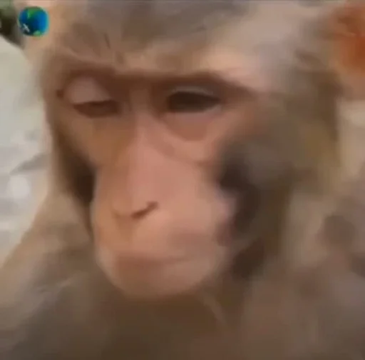 Sticker oldshool_meme - 3