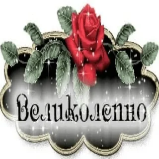 СМС цветок роза