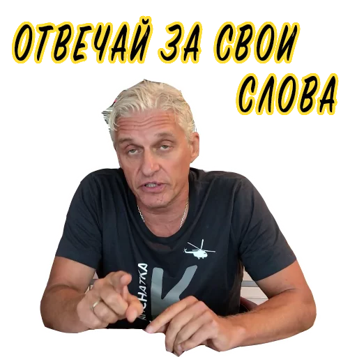 Sticker Тиньков не уголовник - 2