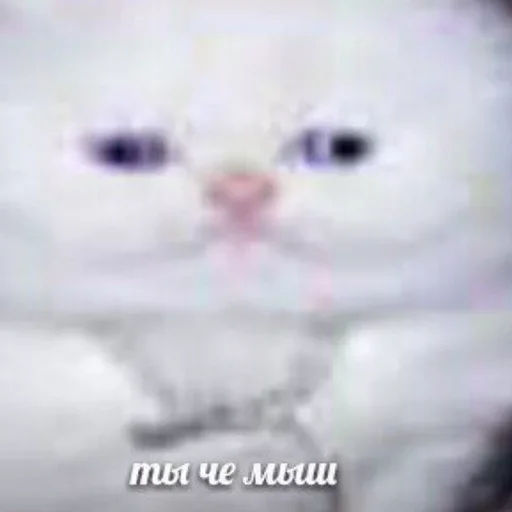 Sticker olejko pack by @JackRiver - 3