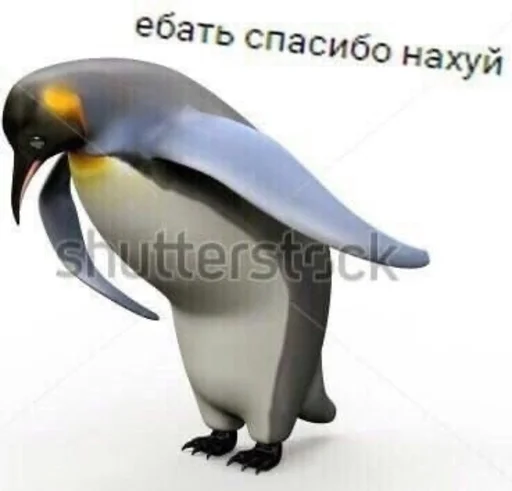 водная птица животное птица