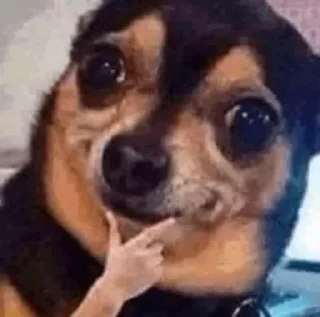 Стикер Алиночка - 8