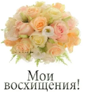 Стикер Алиночка - 6