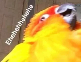 Стикер Алиночка - 4