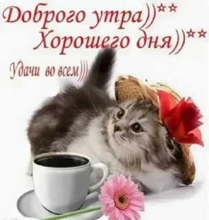 Стикер Алиночка - 7