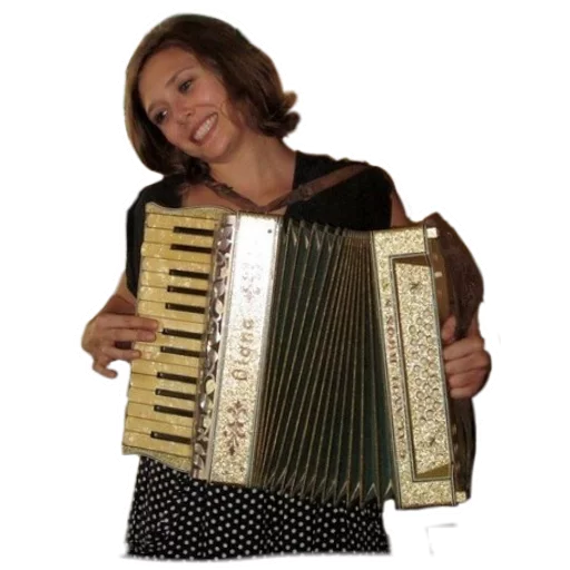 music accordion musical instrument