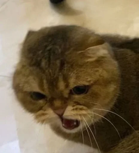 Sticker احمد by @fStikBot - 8