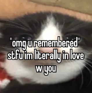 Sticker https://t.me/textedf corecore - 3