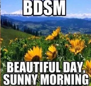 Sticker https://t.me/textedf corecore - 6