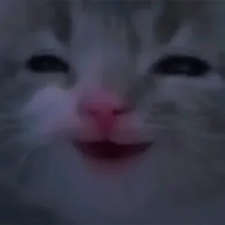 Стикер OLD pack Больше стикеров тут @Stickqwertbot - 6